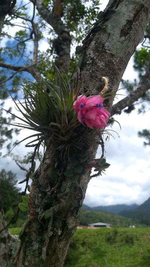 Hostel E Pousada Vale Mirante Da Rocha Timbe do Sul Eksteriør bilde