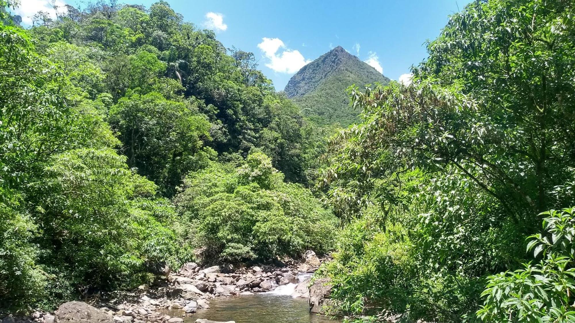 Hostel E Pousada Vale Mirante Da Rocha Timbe do Sul Eksteriør bilde